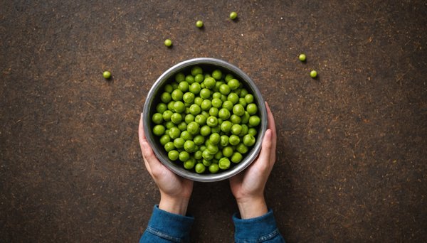 Meilleur pea 2025 : les meilleures options à découvrir